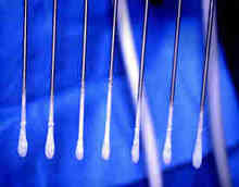 photo of the 7 probes, their tips covered in ice