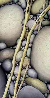 sticks and stones