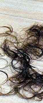 cut hair on floor 