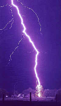 large bolt of lightning striking at tree at night