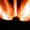 portion of drawing of phoenix bird, click here to go to essay