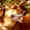 portion of photo of Mac, click here to go to essay