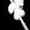 portion of photo of man on tightrope showing only his feet and the wire, click here to go to essay