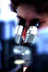 man looking in microscope