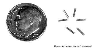 photo of actual seeds next to a dime for comparison; they are about the shape of but smaller than a grain of rice