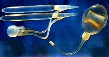 photograph of mentor model